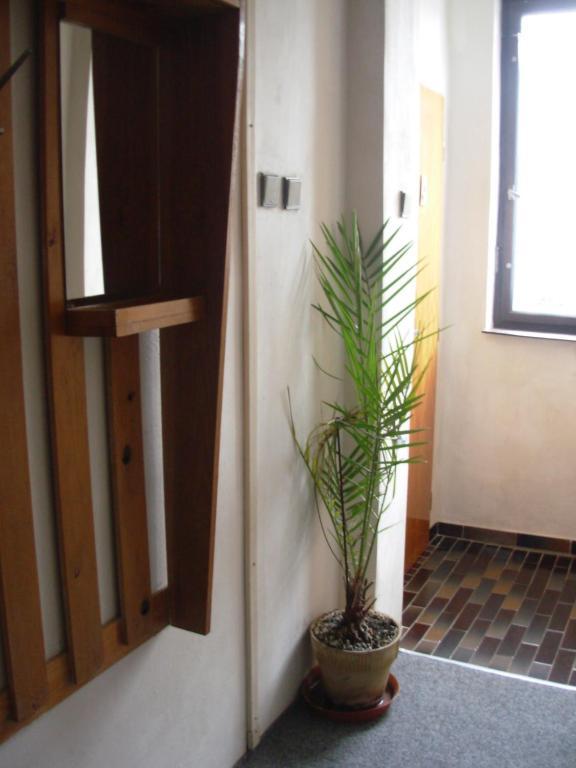 Penzion Hlinkova Plzen Room photo